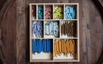 The Montessori Bead Bars for Lower Elementary