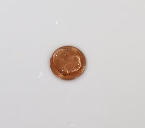 Penny Dropper Science