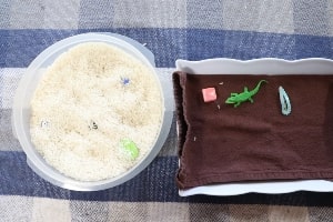 Dry Rice Sensory Bin