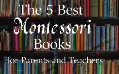 The Best Montessori Books for Parents and Teachers