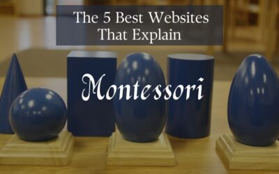 The 5 Best Websites that Explain Montessori