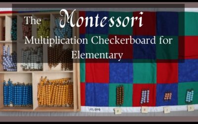 The Montessori Multiplication Checkerboard