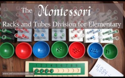 The Montessori Racks and Tubes Division