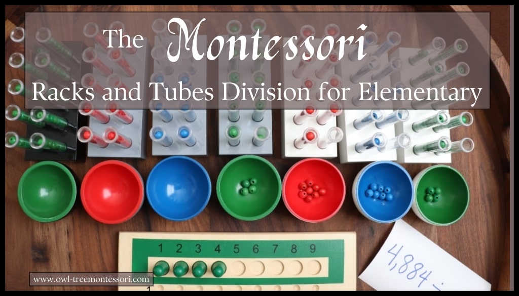 The Montessori Racks and Tubes Division