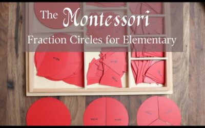 The Montessori Fraction Circles for Elementary