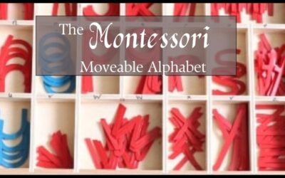 How To Use the Montessori Moveable Alphabet