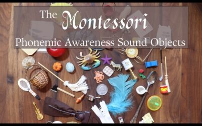 How to Use Montessori Phonemic Sound Objects