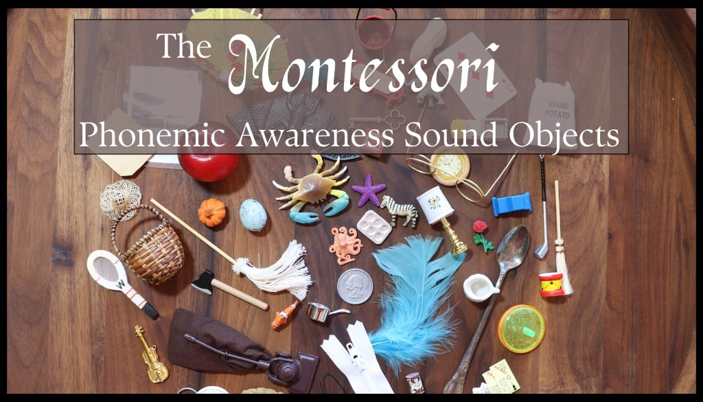 How to Use Montessori Phonemic Sound Objects