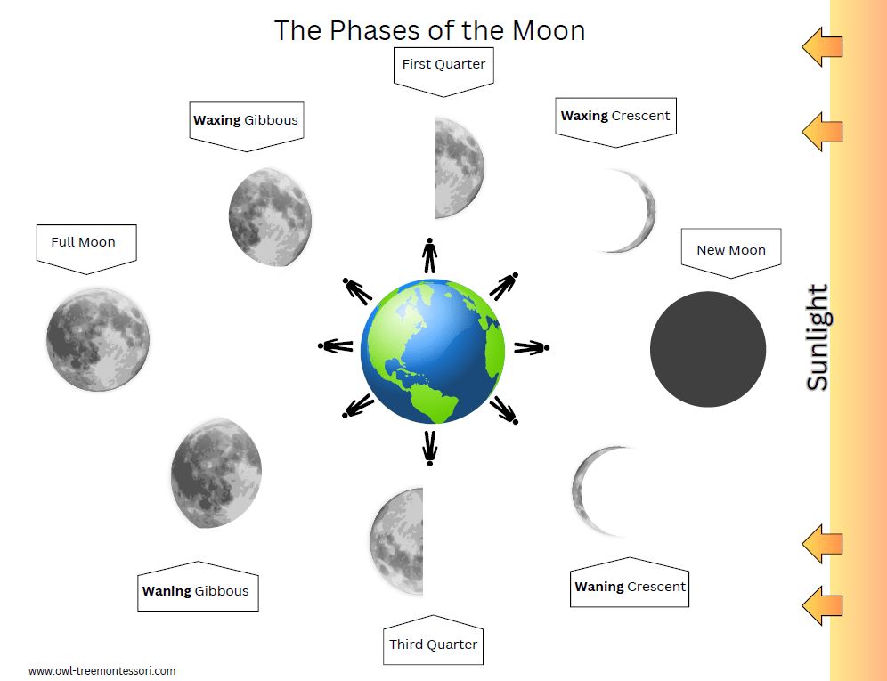 Phases of the Moon Chart